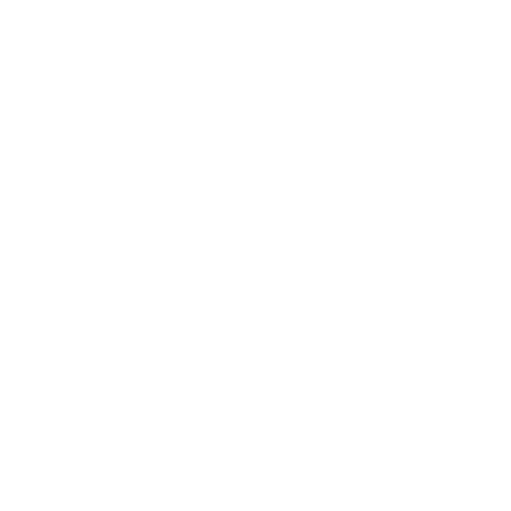 ZEVE 11th Anniversary