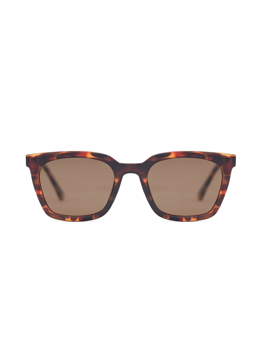 FrontRykerSunglassesDemiBrownish - Zeve