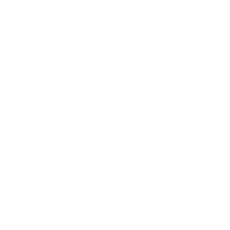 ZEVE 11th Anniversary