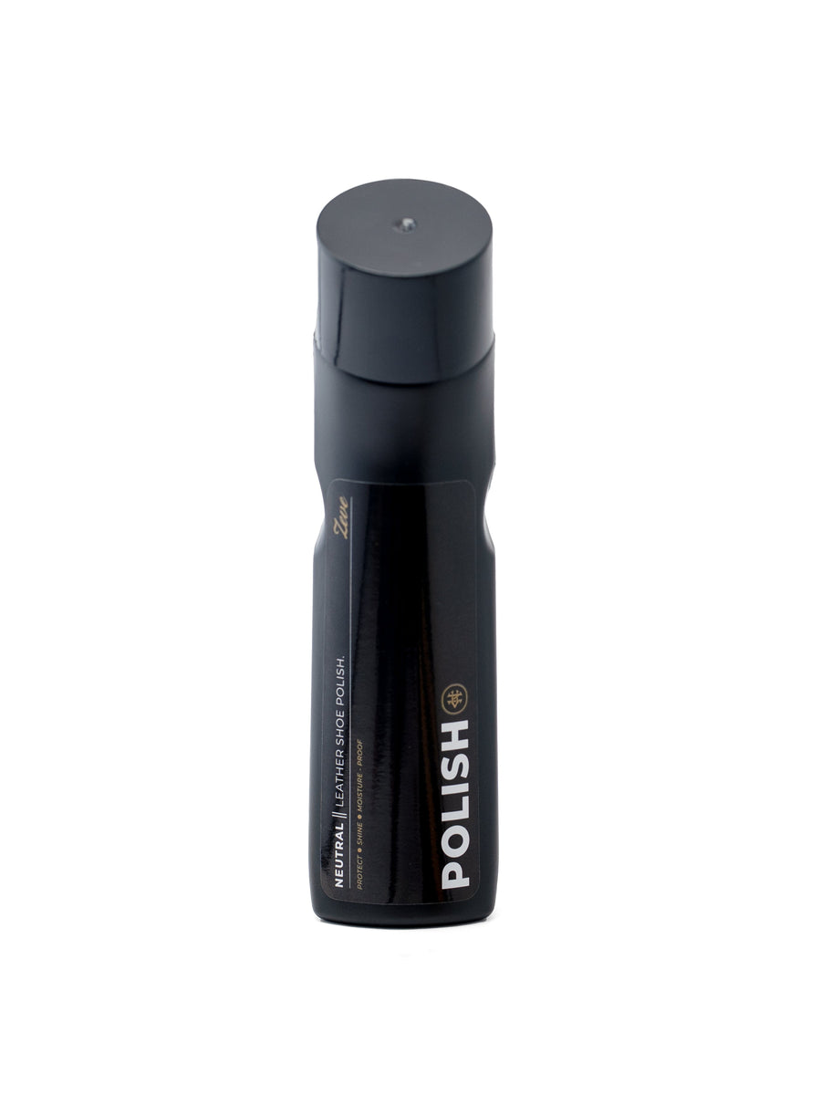 SHOE CARE KIT