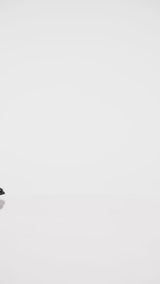 Bellmonk Loafer - Black Polish Leather